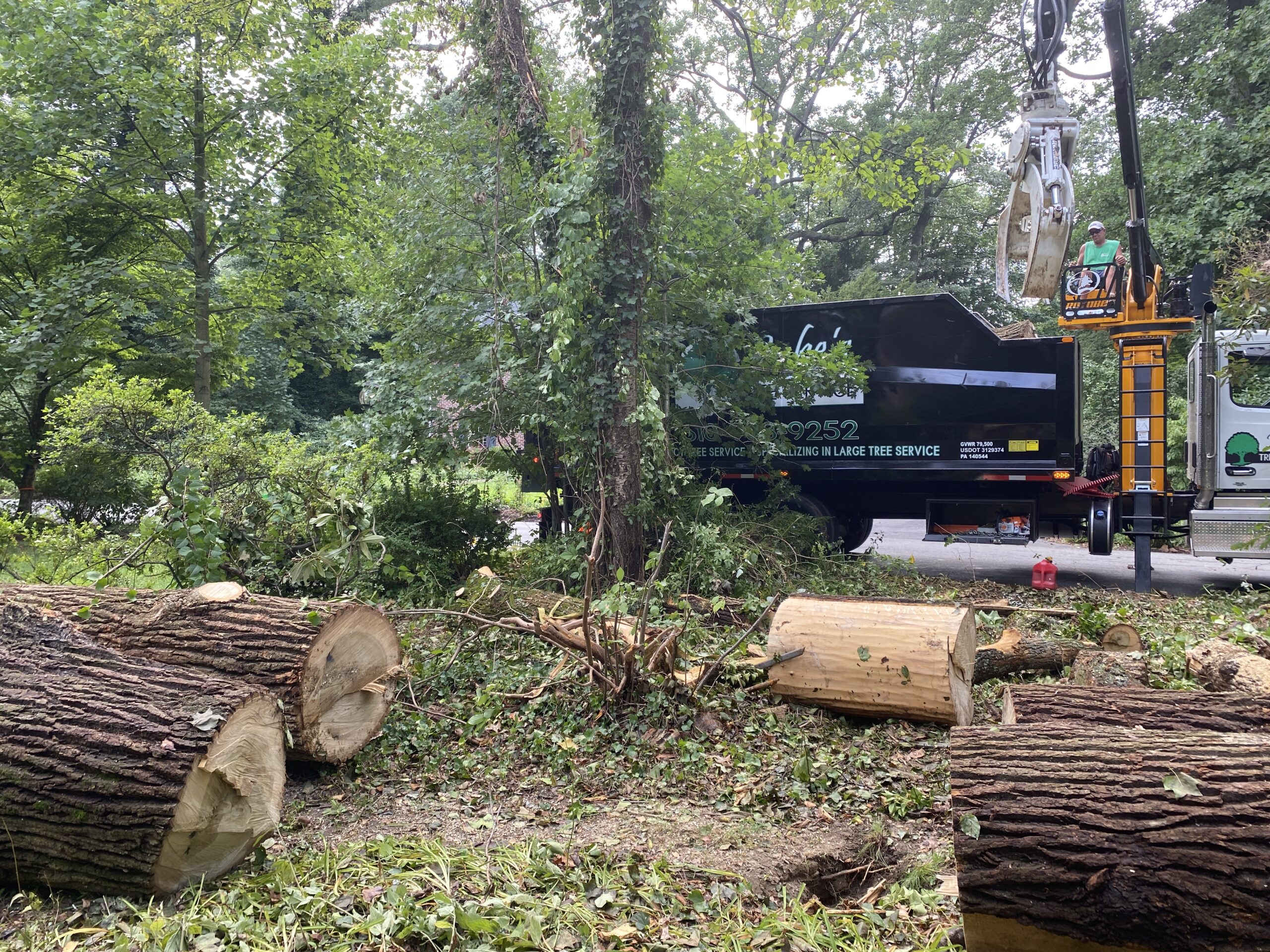 61791952336__1A48AE52-F2B7-413D-AB0B-88139FCDD964 local stump grinding , tree trimming, tree removal